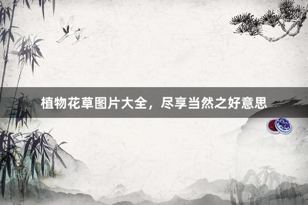 植物花草图片大全，尽享当然之好意思